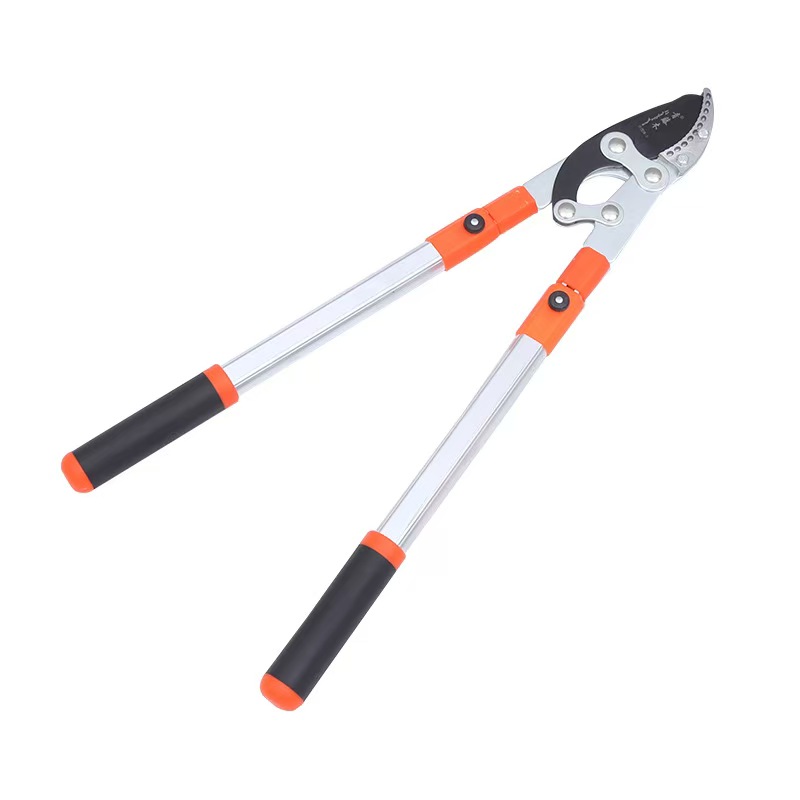 branch &nbsp;scissors